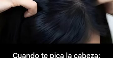 634847298 938465058687865 7041438621720672302 n