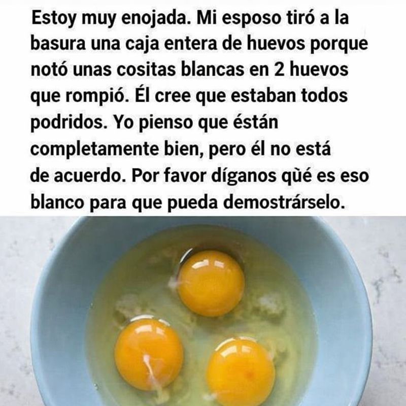 640451987 2403323976835174 5133256912523741886 n