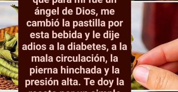 B853414f 725f 47cd b9b3 8c35d15ea0b6