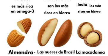 045b0768 ba11 4248 a90b 97c9019d28a5