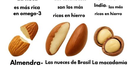 045b0768 ba11 4248 a90b 97c9019d28a5