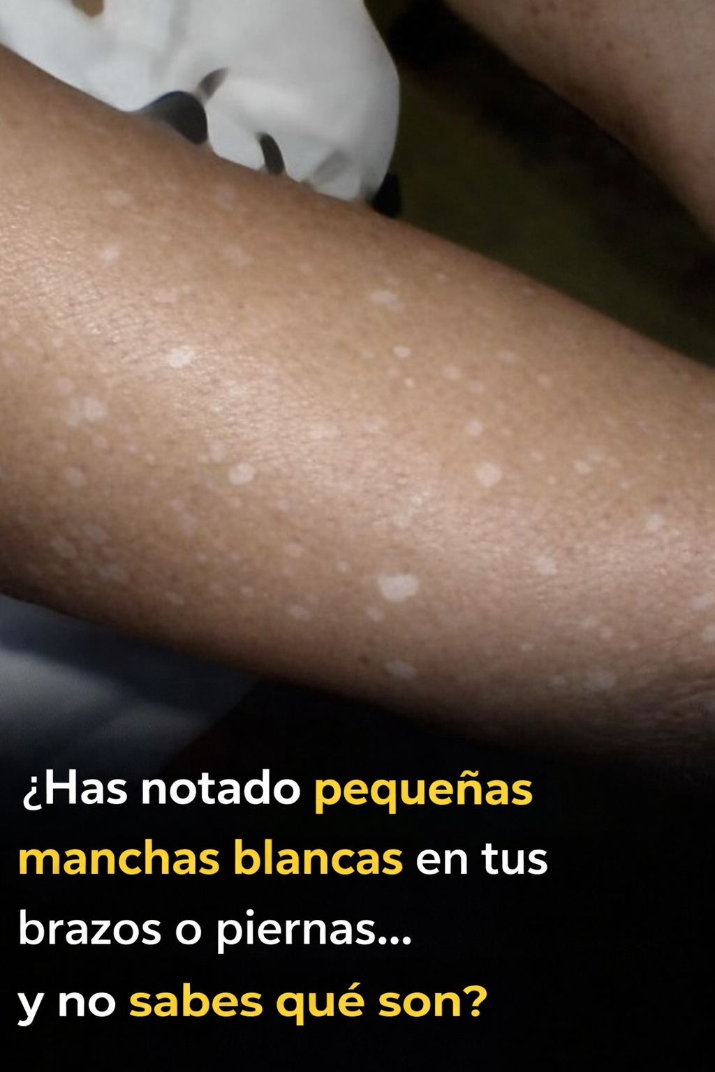 0cd18542 3e00 4a97 8e43 1a5ab4cd58c1