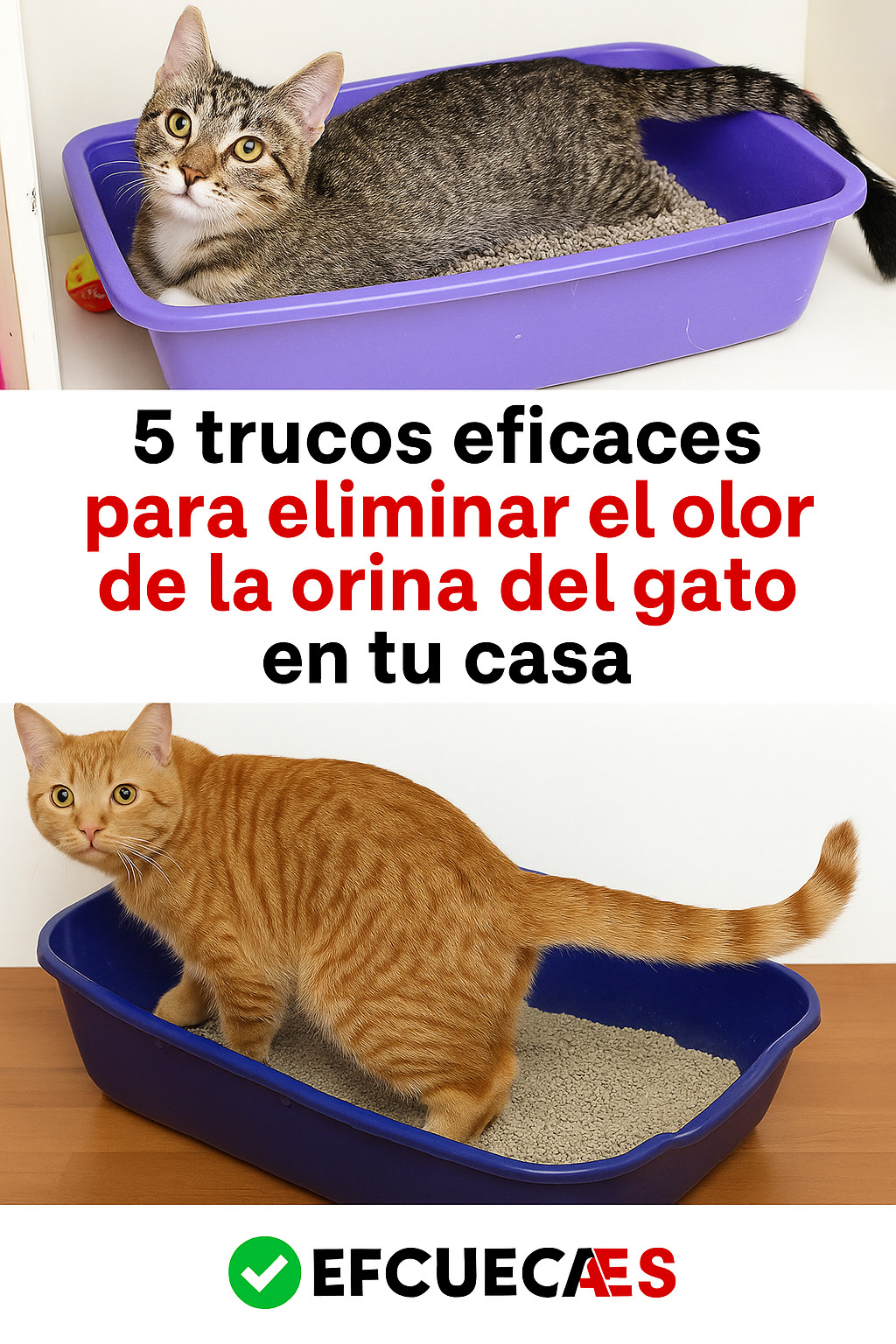 0e9ba10b e03a 4cb1 b780 a477fbffaae6