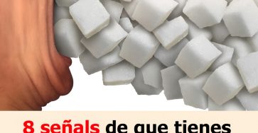 1068fe0f 6f95 48bb bad3 c1df1f9b6039