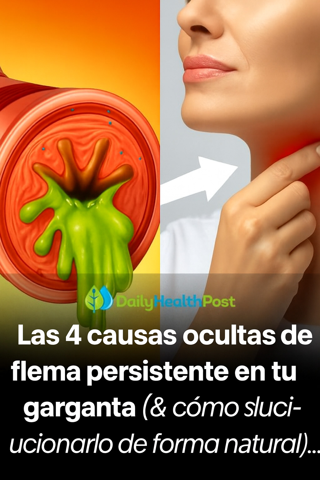 235dd56e 5029 4a7d a5c5 d1db59b5b55a