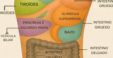 317f74ca bd72 472b 8394 8cb9620307af