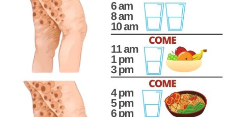 339990184 736471414884524 362696014567797751 n