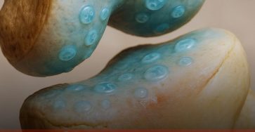 38a5ea75 ffee 4b96 986e 823e42314eee