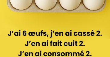 397344432 373043468395582 5616491492331476753 n