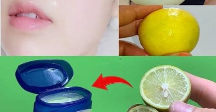 438086874 2188118158190276 1458374798418450234 n