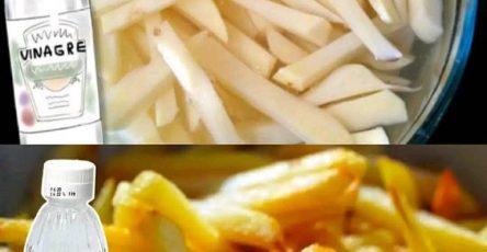 438253295 122147399690092226 4878472585015113018 n