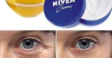 440864548 122148222404092226 4750511714659675263 n