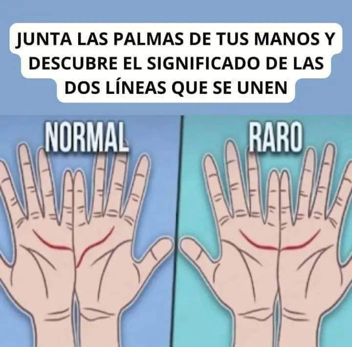 453500982 522709420420184 6806901030804733269 n