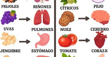 45edb837 fb9a 4b37 bcc3 b0340deb5300