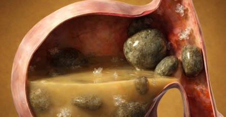 4b80667a 9b7b 4f03 bffe de5d9834a925