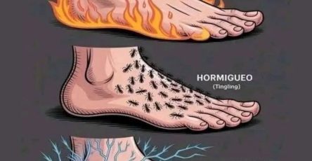 501041587 122143412648780951 5706195584325710514 n e1758887649531