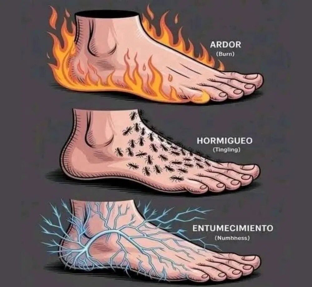 501041587 122143412648780951 5706195584325710514 n e1758887649531