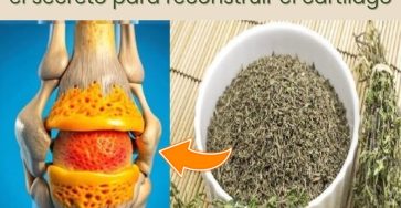 518177077 1175369794603767 4127671943568140233 n e1752785227654