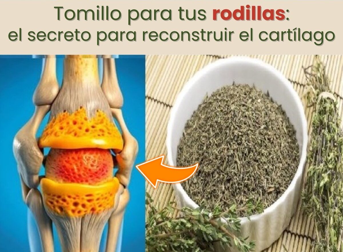 518177077 1175369794603767 4127671943568140233 n e1752785227654