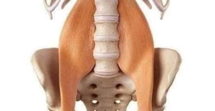 519493522 1463844271423877 2690606825716180702 n