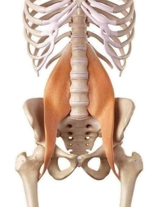 519493522 1463844271423877 2690606825716180702 n