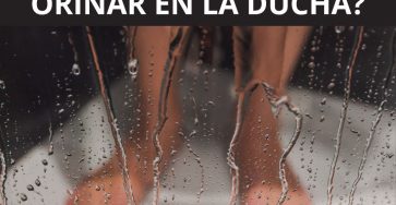 524045274 1171547358341582 7147218216628868750 n