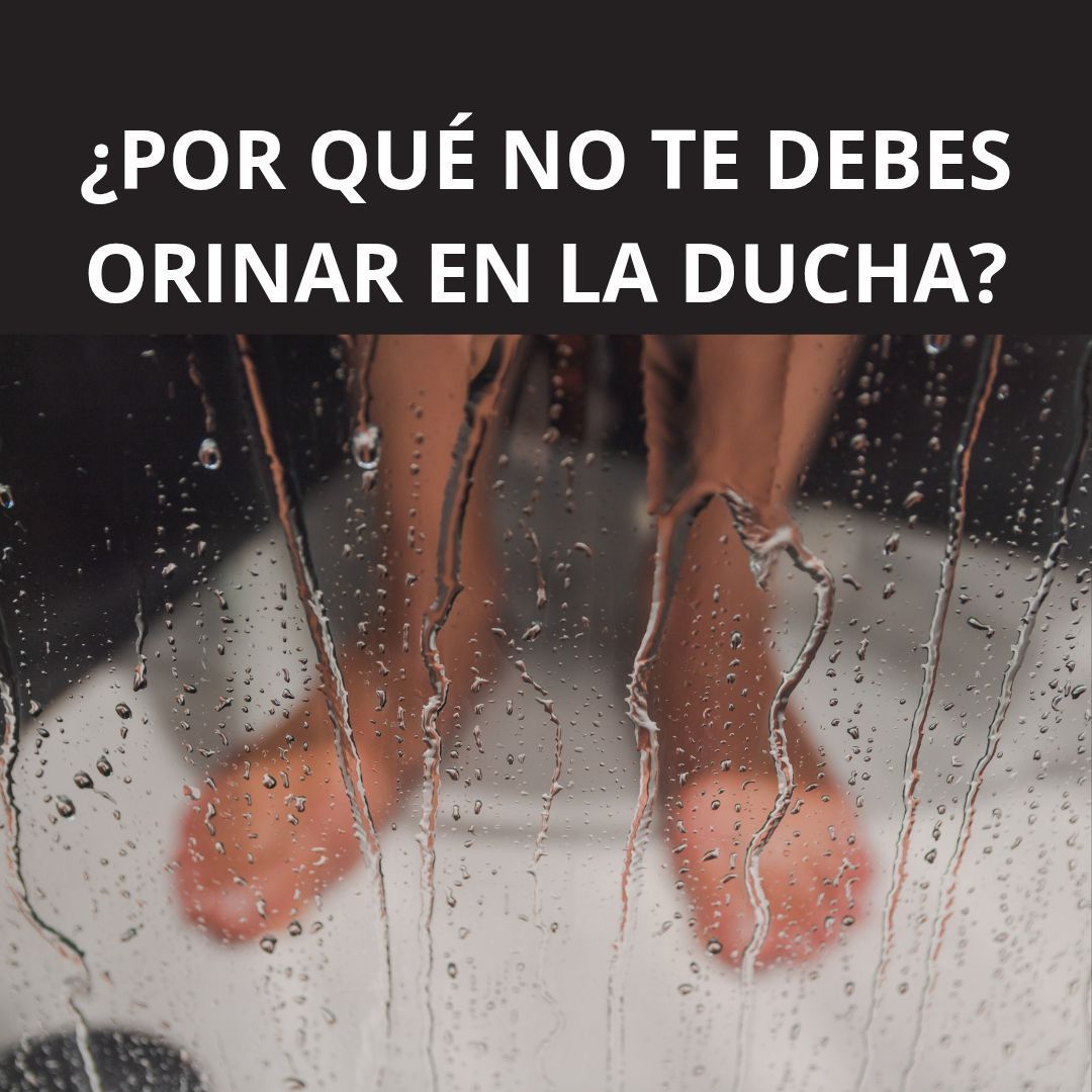 524045274 1171547358341582 7147218216628868750 n