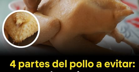 526783357 1111727564181300 6422387726537513613 n