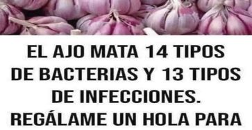 527979169 733062509347372 7100597907807422660 n