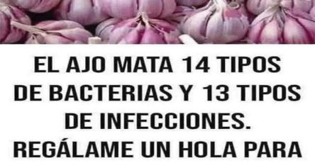 527979169 733062509347372 7100597907807422660 n