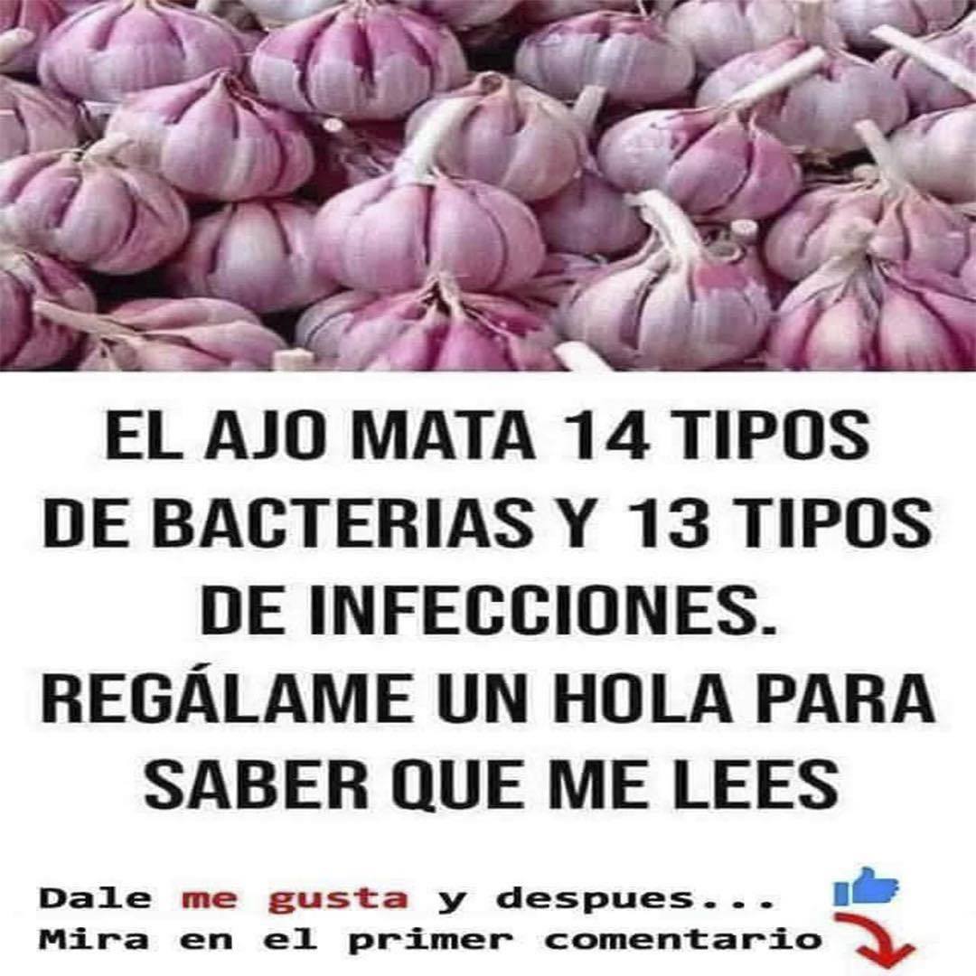 527979169 733062509347372 7100597907807422660 n