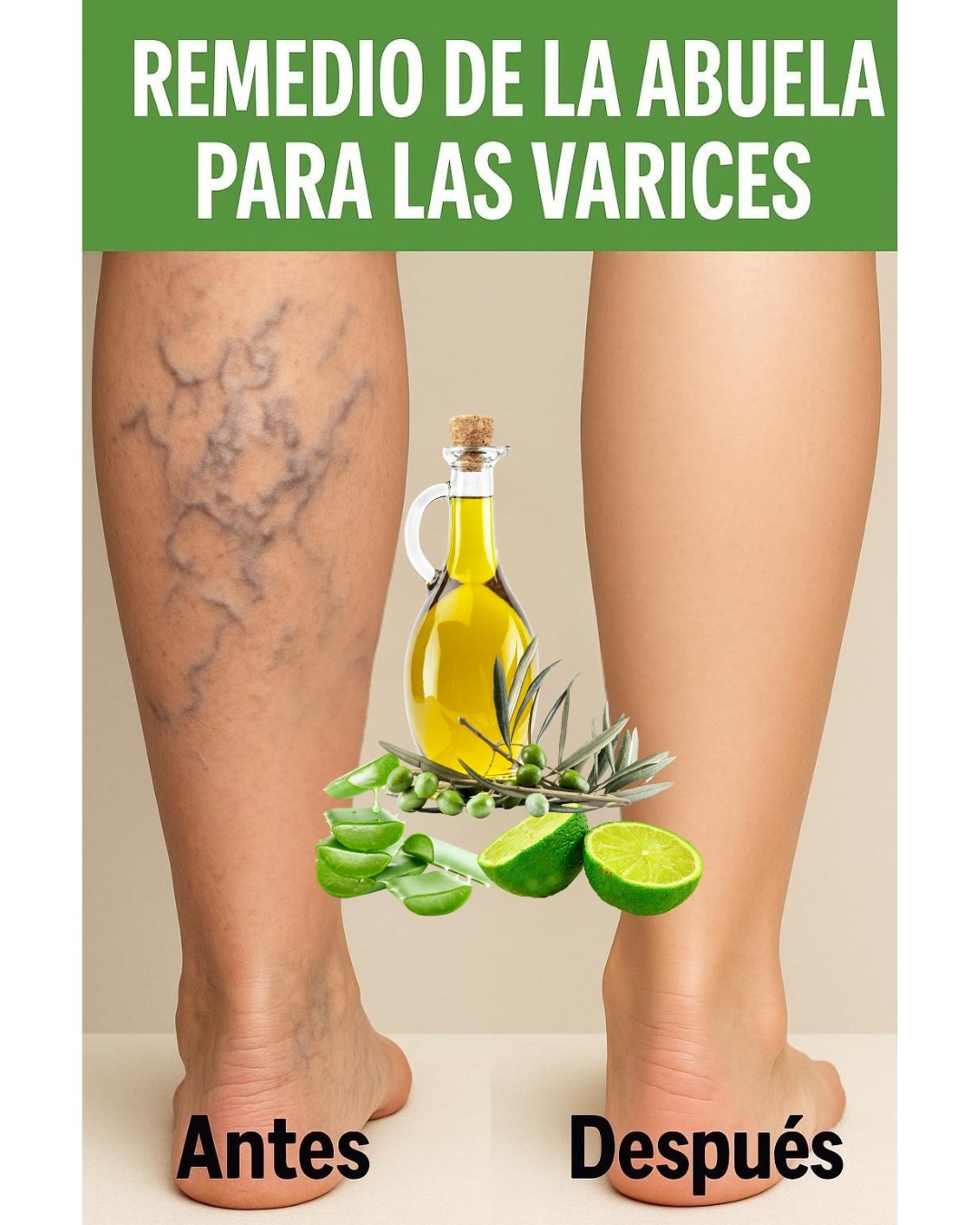 533547459 772877572345329 2513442470215192508 n