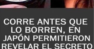 535396530 1196345925861725 8096850839933153932 n