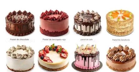 536272190 122262768542230743 3248020641619743840 n