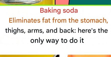 540626266 1555598159213144 7306301004103753549 n