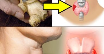 544618433 757276547092533 24277818540339414 n