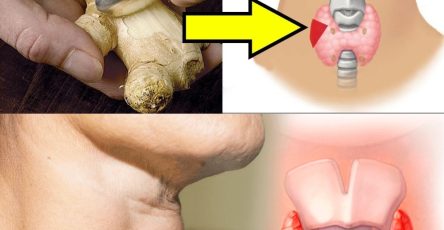 544618433 757276547092533 24277818540339414 n