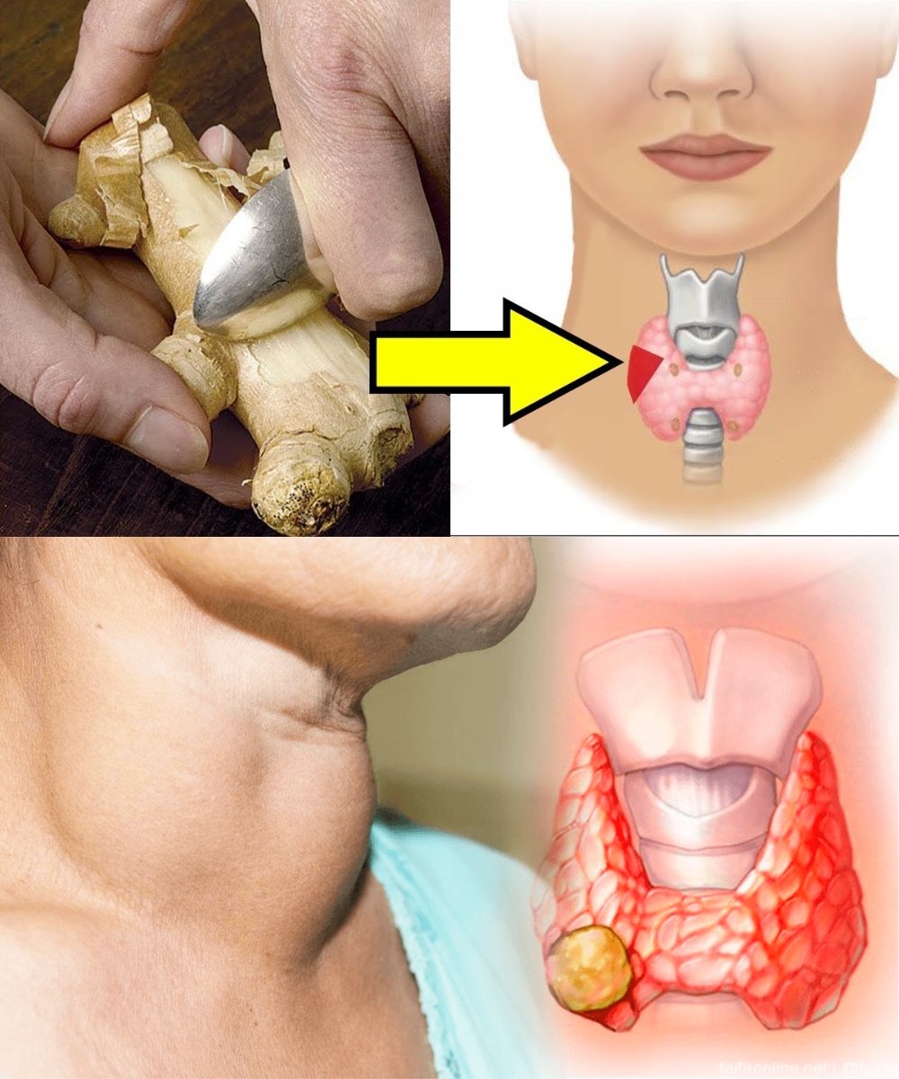 544618433 757276547092533 24277818540339414 n