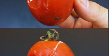 545762558 2252075838641791 1341587240342073677 n