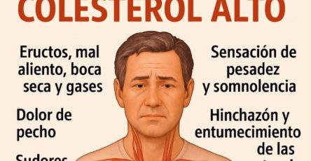 546087363 1354041982953131 6458458509347485270 n e1757704282597