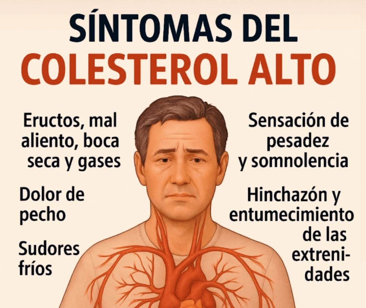 546087363 1354041982953131 6458458509347485270 n e1757704282597