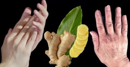 546623782 1483639446112373 4588998794615044647 n