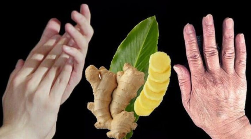 546623782 1483639446112373 4588998794615044647 n