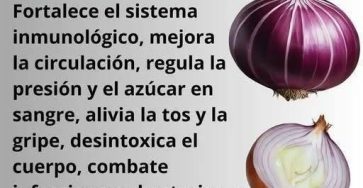 546924673 1302358234670019 1451436370801116905 n