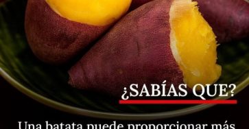 547374036 777964214867449 3569501204610242129 n 1 1 768x960 1 (1)