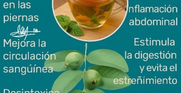 547652583 798629522723001 7335793194258558089 n