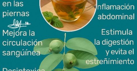 547652583 798629522723001 7335793194258558089 n