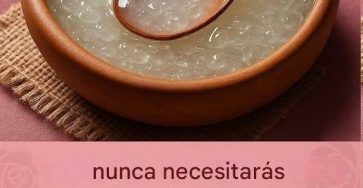 548132409 1154910763172231 900485516267560897 n