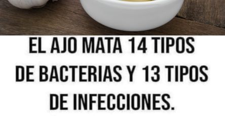 548174663 122133197390924909 5324199494366724136 n