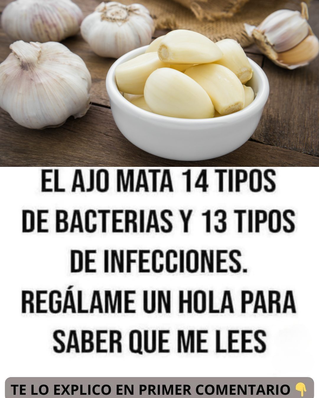 548174663 122133197390924909 5324199494366724136 n